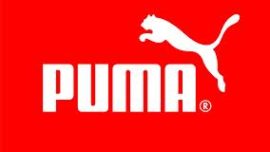 Puma contra Gucci