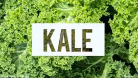 Cuando a la berza se le llama “Kale” y al jaramago “ruccola”