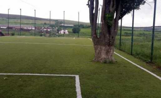 Construyen un campo de fútbol nuevo… ¡y dejan un árbol en medio!