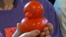Un tomate con forma de pato sorprende a sus propietarios