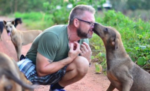 El hombre que da de comer a 80 perros callejeros cada día