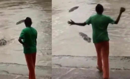 Mujer espanta a un cocodrilo con una chancleta