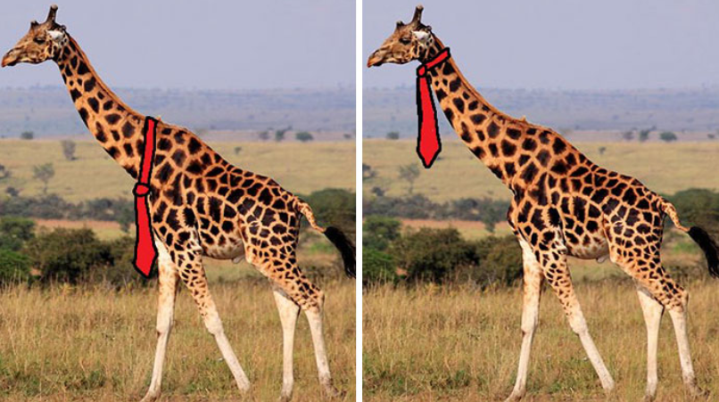¿Dónde debería llevar la corbata una jirafa?