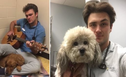 Veterinario le canta a un perro para calmarle antes de ser operado