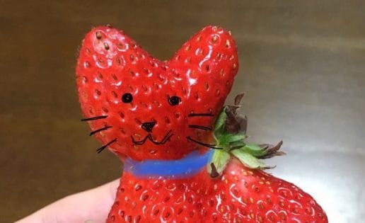 La extraña fresa con forma de gato