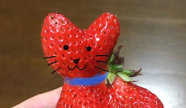 La extraña fresa con forma de gato