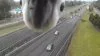 La curiosa reacción de una cacatúa al ver una cámara de tráfico