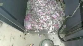 Unas ratas se meten en un cajero y se comen 15.000 euros