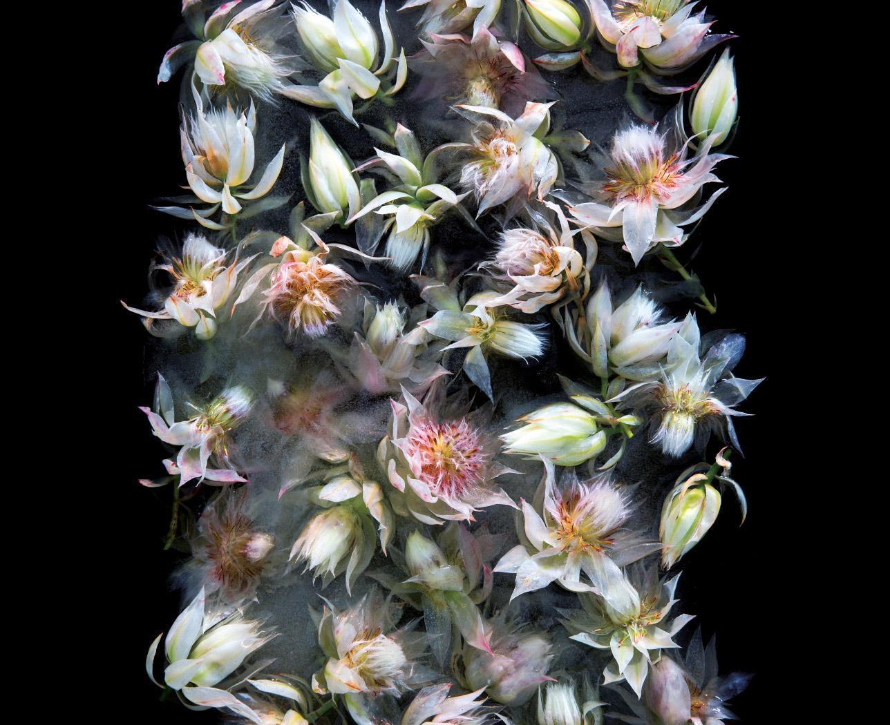 No nos dedicamos a estas cosas