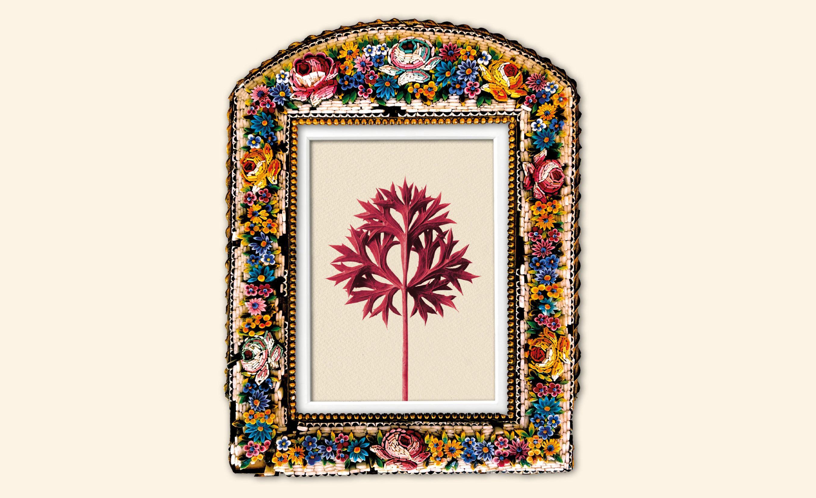 La vida como un continuo comienzo