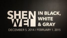 Shen Wei. In Black, White & Gray. Miami