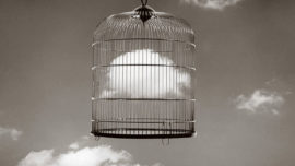 Chema Madoz. El fotógrafo callado