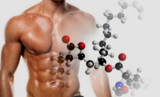 Glutamina y formación de masa muscular