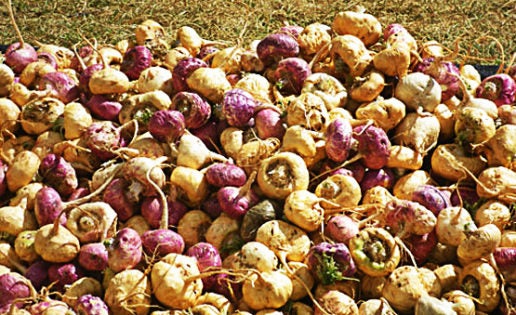 La Maca (Súper alimento)