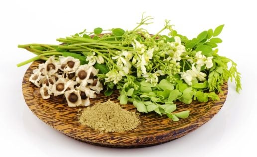 El poder de la moringa