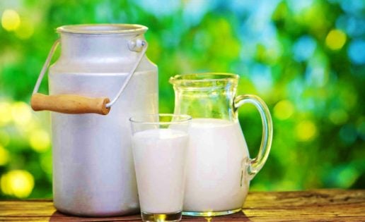 ¿Problemas digestivos y no sabes por qué?