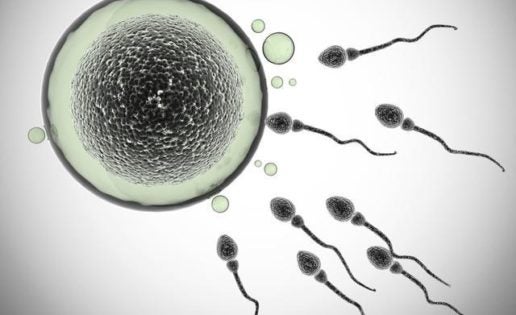 Aumenta la fertilidad masculina