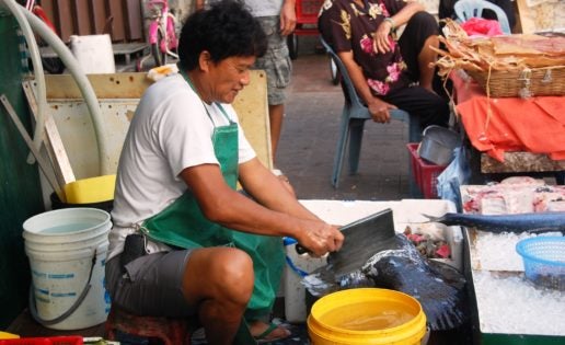 El panga a exámen, ¿perjudicial para la salud?