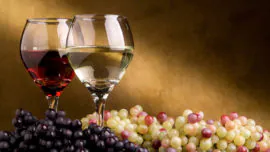Cinco términos básicos en el mundo del vino