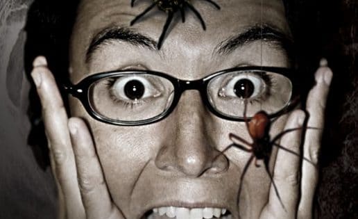 Cada año te tragas ocho arañas mientras duermes: el origen del bulo