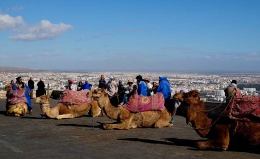 La resurrección de Agadir