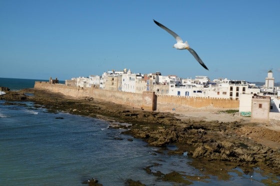 Vacaciones Inteligentes en Essaouira