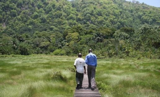 El desconocido Parque Nacional Semliki en el Rift Albertino