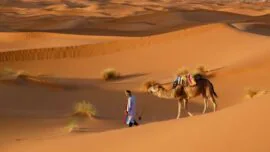 Una noche en la infinita soledad del Sahara