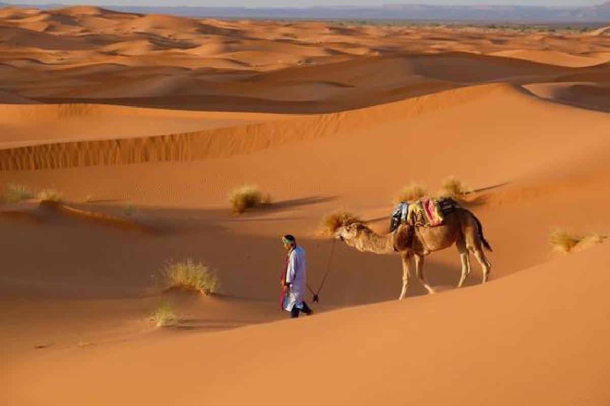 Una noche en la infinita soledad del Sahara