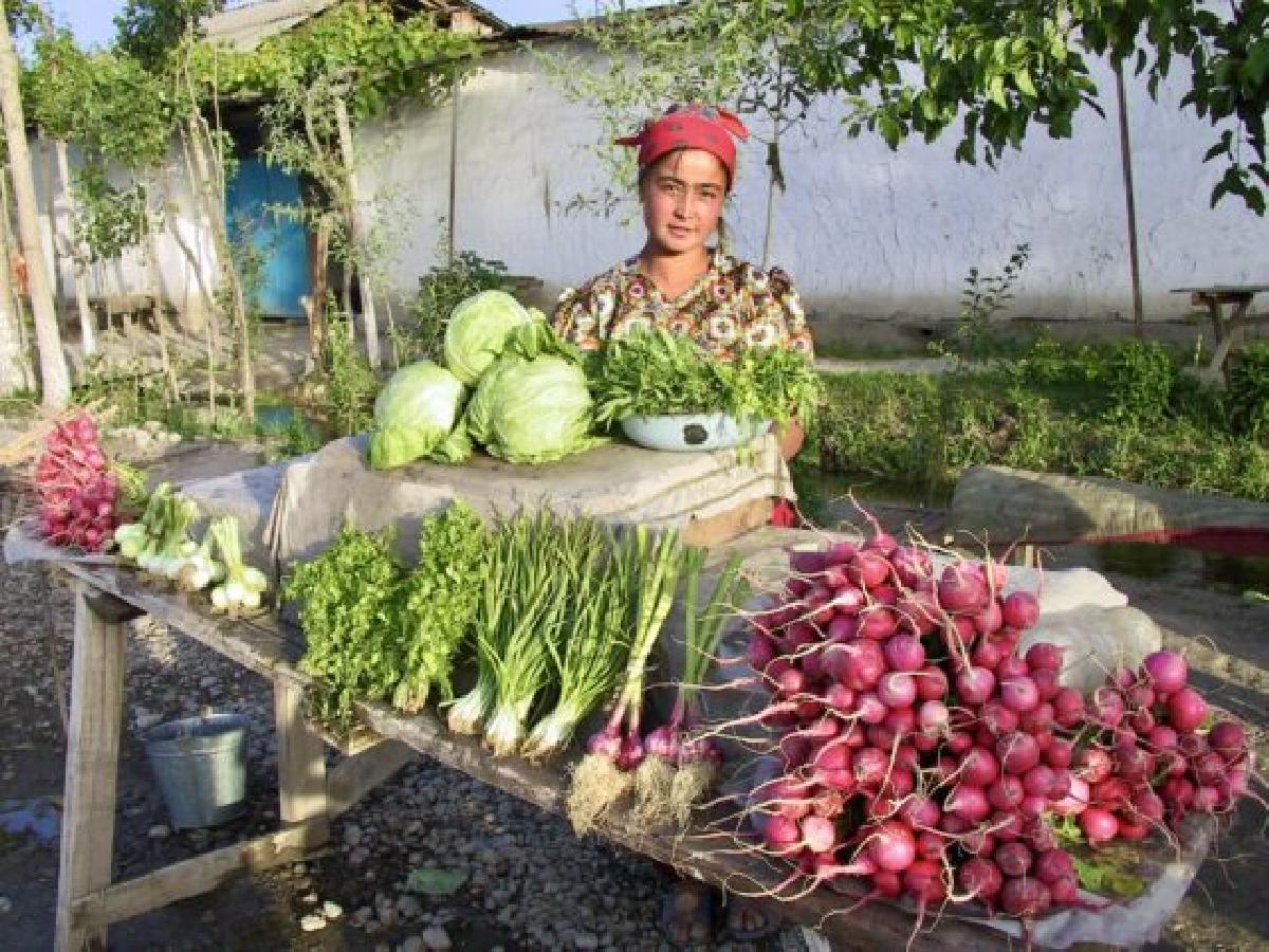 Fergana: un sólo valle y tres países (el lío que montó Stalin)