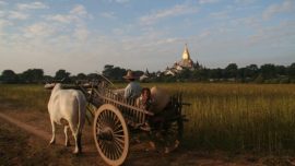 Bagan, un impresionante cementerio de templos budistas