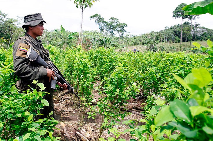 El modelo de negocio del narco tras los acuerdos de paz en Colombia