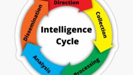 Ciclo y matriz de Inteligencia