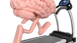 El ejercicio rejuvenece el cerebro
