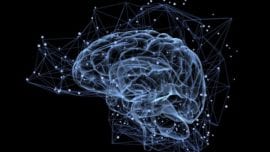 Demasiada actividad cerebral afecta a la memoria
