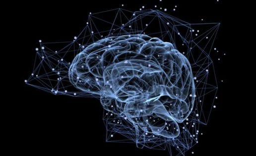 Demasiada actividad cerebral afecta a la memoria
