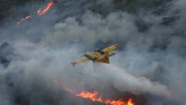 El humo de los incendios forestales provoca inflamación en el cerebro