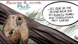 Reaparece la marmota Phil