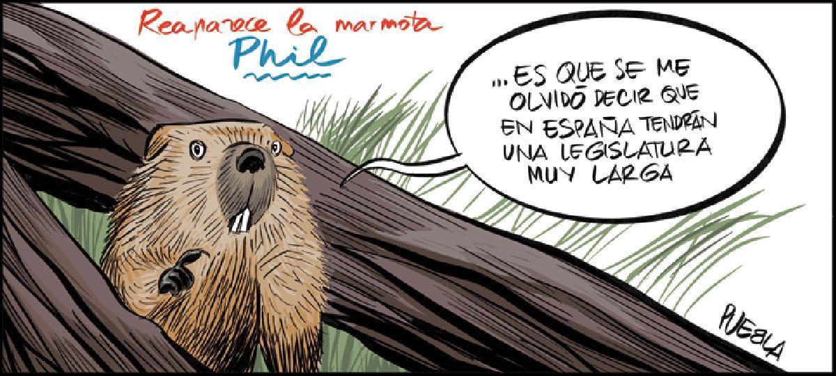 Reaparece la marmota Phil