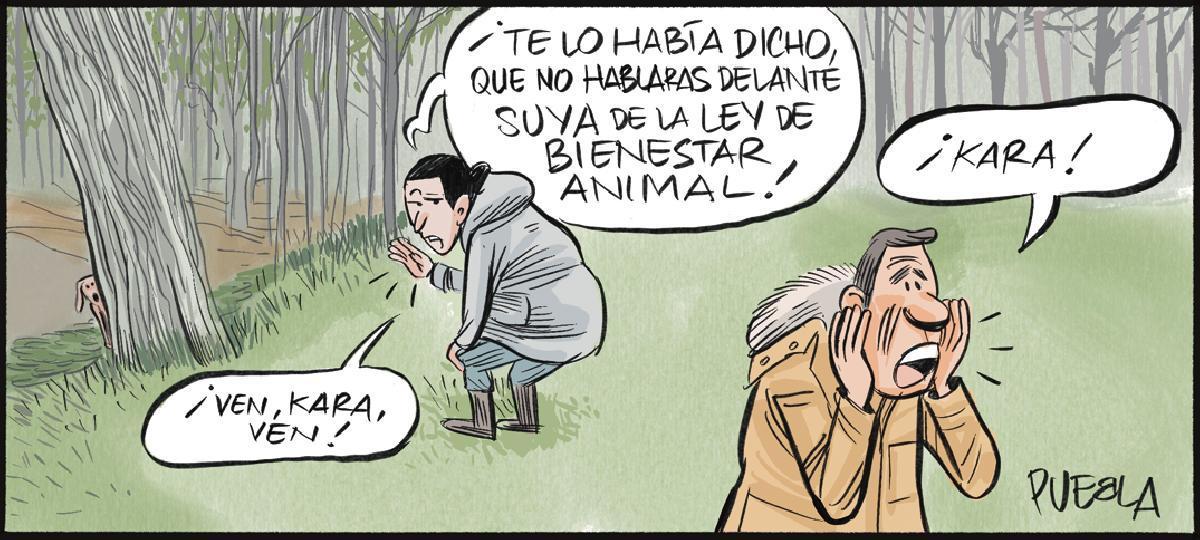 Otra, ‘Sólo la Ley de Bienestar Animal es de Bienestar Animal’