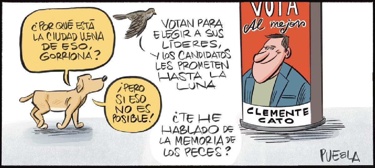 Cacho y Gorriona. Elecciones.