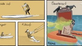 Prácticas estivales