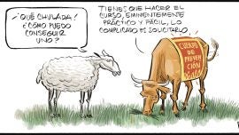 Prevención de incendios y burocracia