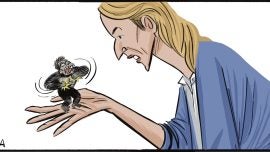 Bolaños desencadenado