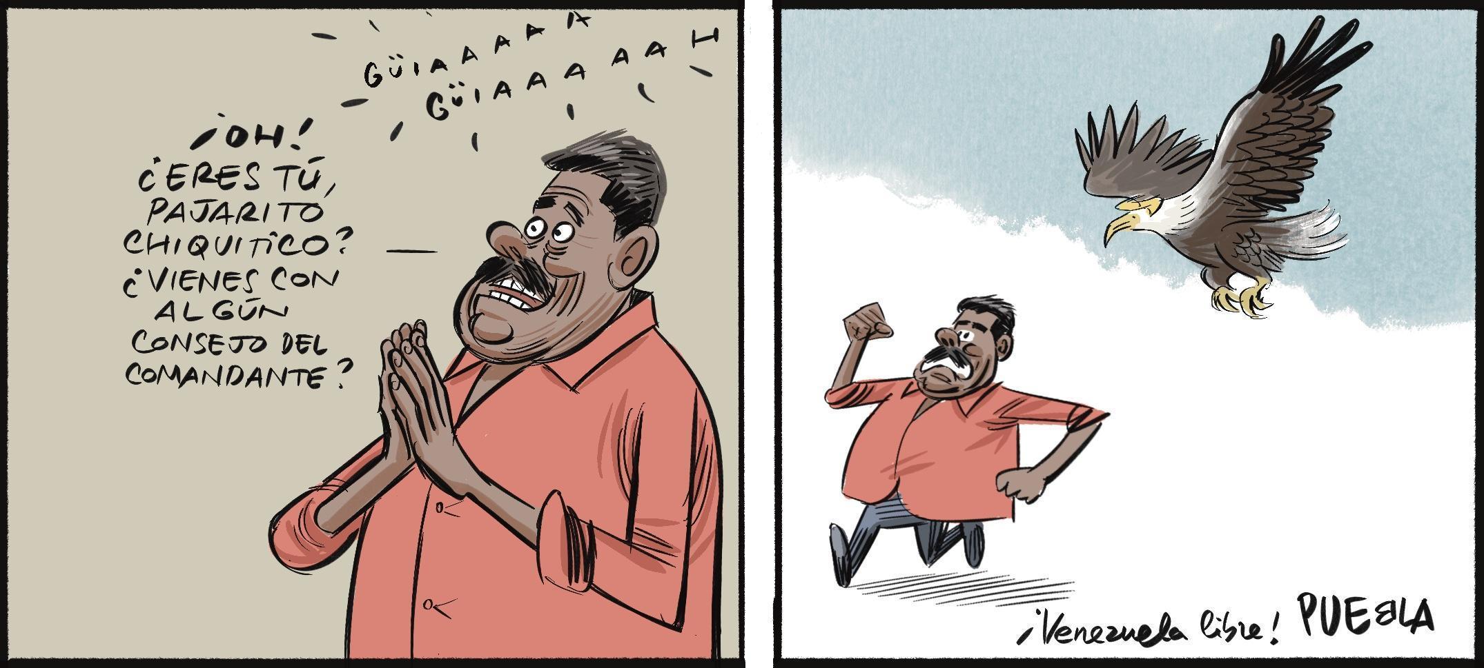 Maduro y el pajarito