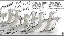 Aplausos biodegradables