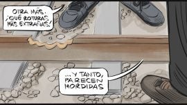 Extrañas roturas nuevas en las vías. Muy extraño