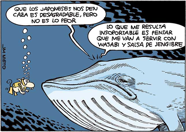 Japón vuelve a cazar ballenas