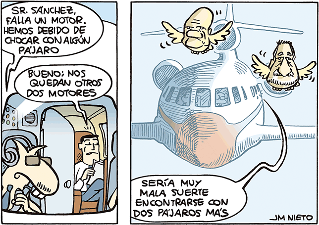 El vuelo de ciertos pájaros puede ser un peligro para el falcon presidencial