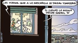 El año de la mascarilla